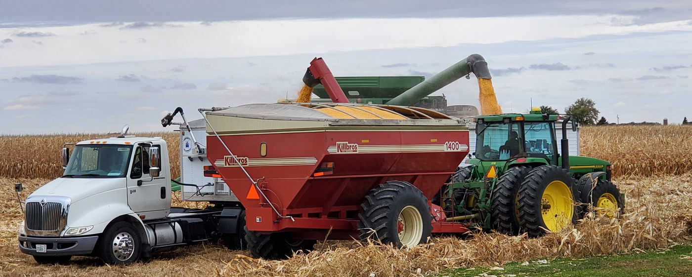Transfer grain.jpg